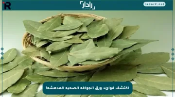 اكتشف فوائد ورق الجوافة الصحية المدهشة!